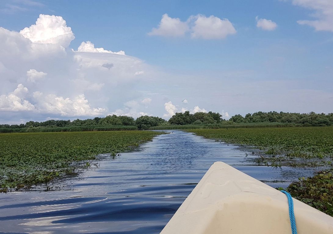 Excursie in Delta Dunarii cu plecare din Mahmudia